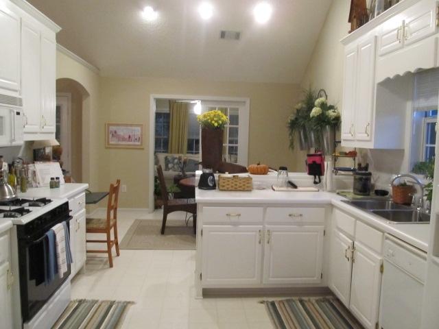 174 Shoreline Way, Hampton, GA 30228 photo 6