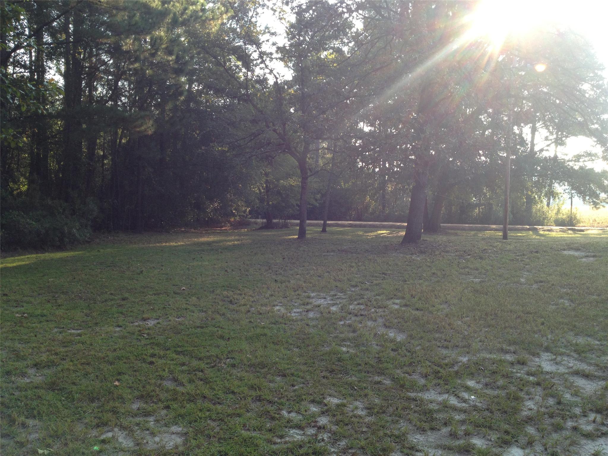 2133 Dink Station Rd, Register, GA 30452 photo 10