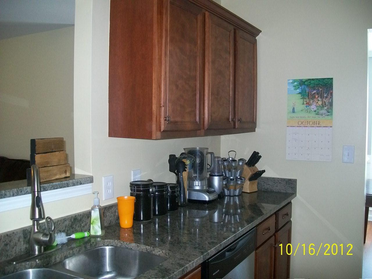 812 Betsy Ross Trl, Hampton, GA 30228 photo 2