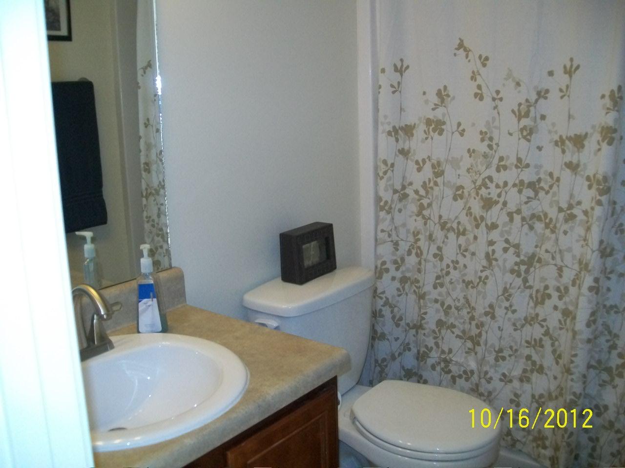 812 Betsy Ross Trl, Hampton, GA 30228 photo 8
