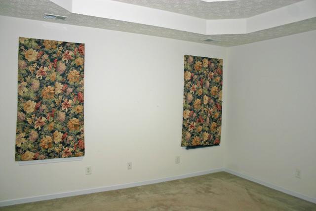175 Dillion Dr, Hampton, GA 30228 photo 4
