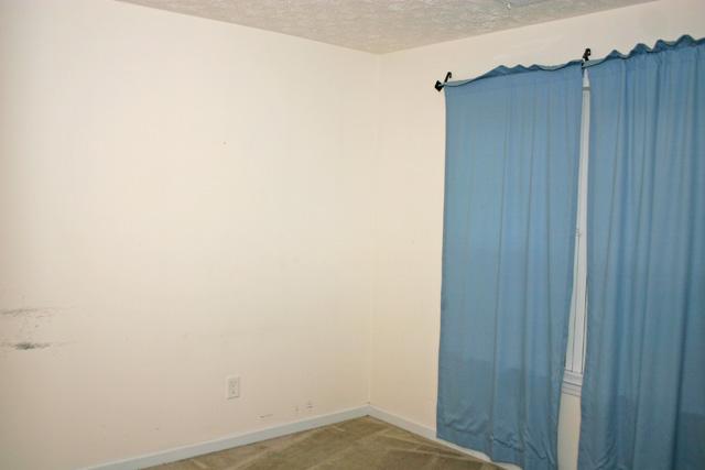 175 Dillion Dr, Hampton, GA 30228 photo 7
