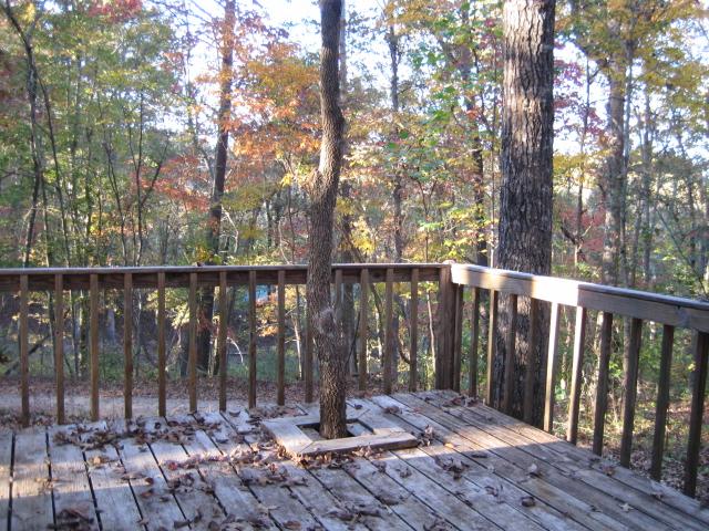369 Greenridge Rd, Cornelia, GA 30531 photo 18