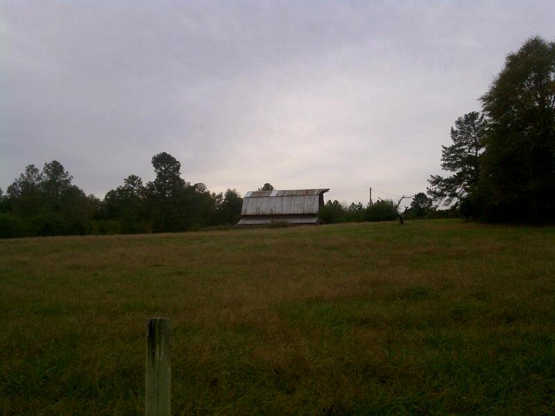 2425 Hwy 83, Monroe, GA 30655 photo 3