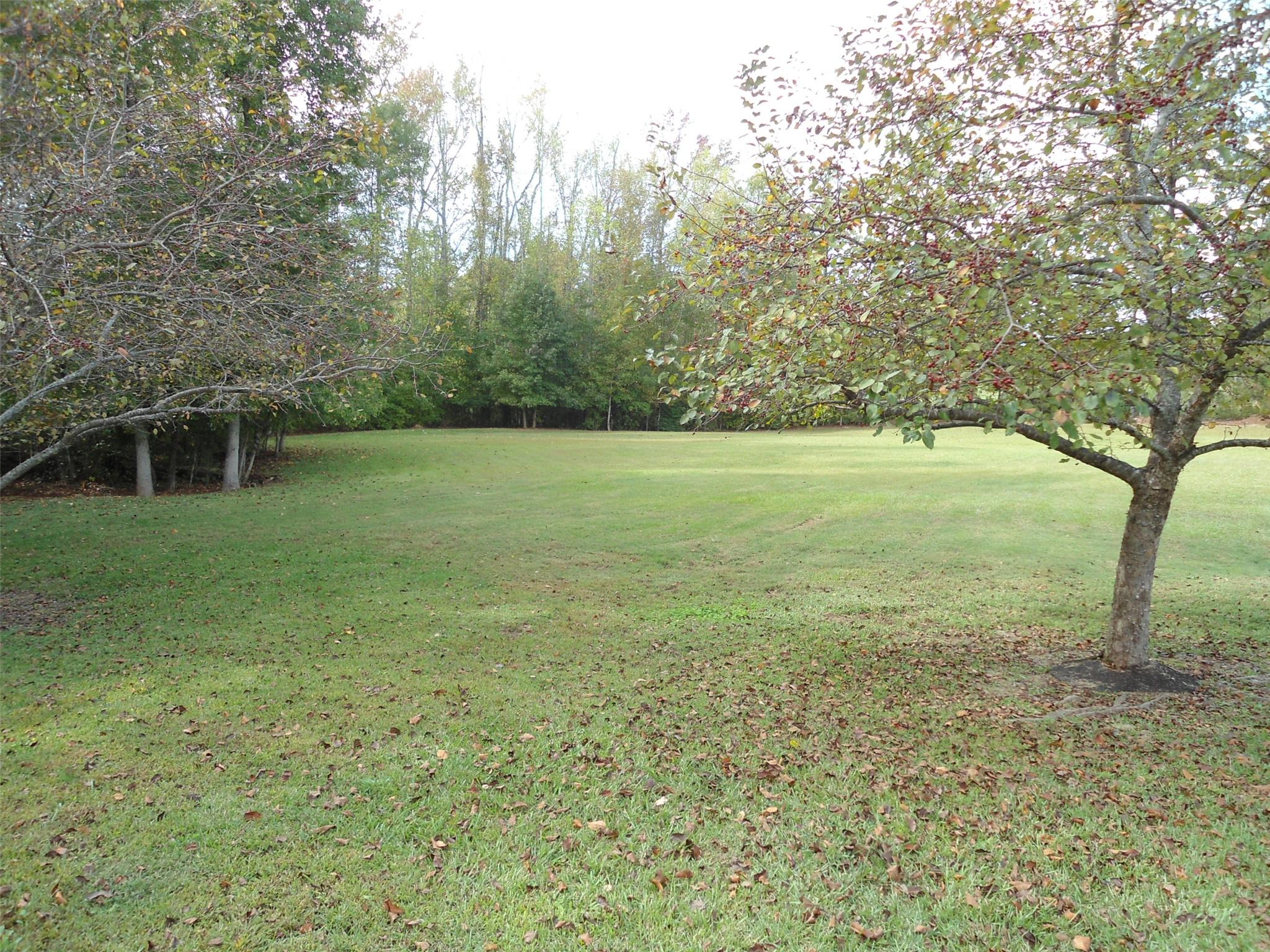 120 Jay Dee Rd, Thomaston, GA 30286 photo 6
