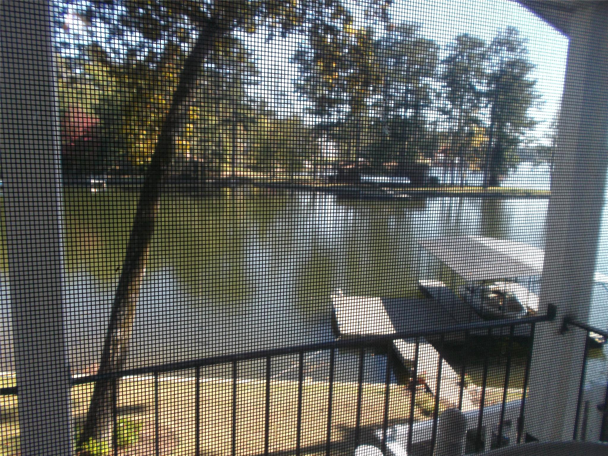 308 Cochran Rd, Jackson, GA 30233 photo 10