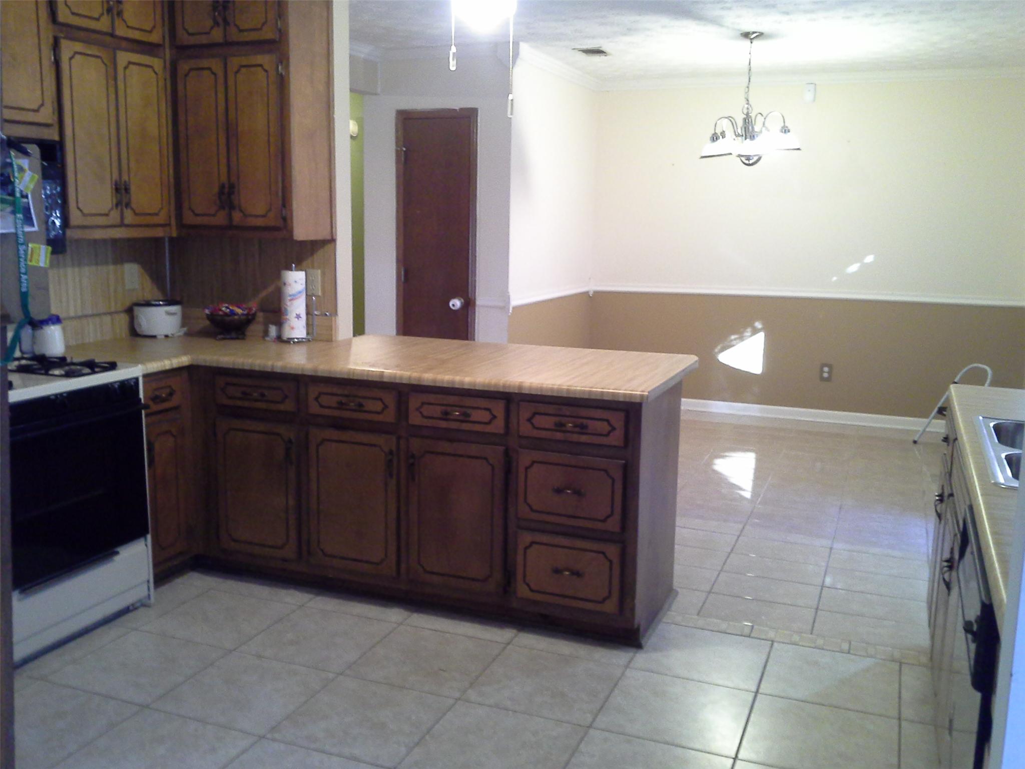 1318 Panhandle Way, Hampton, GA 30228 photo 3