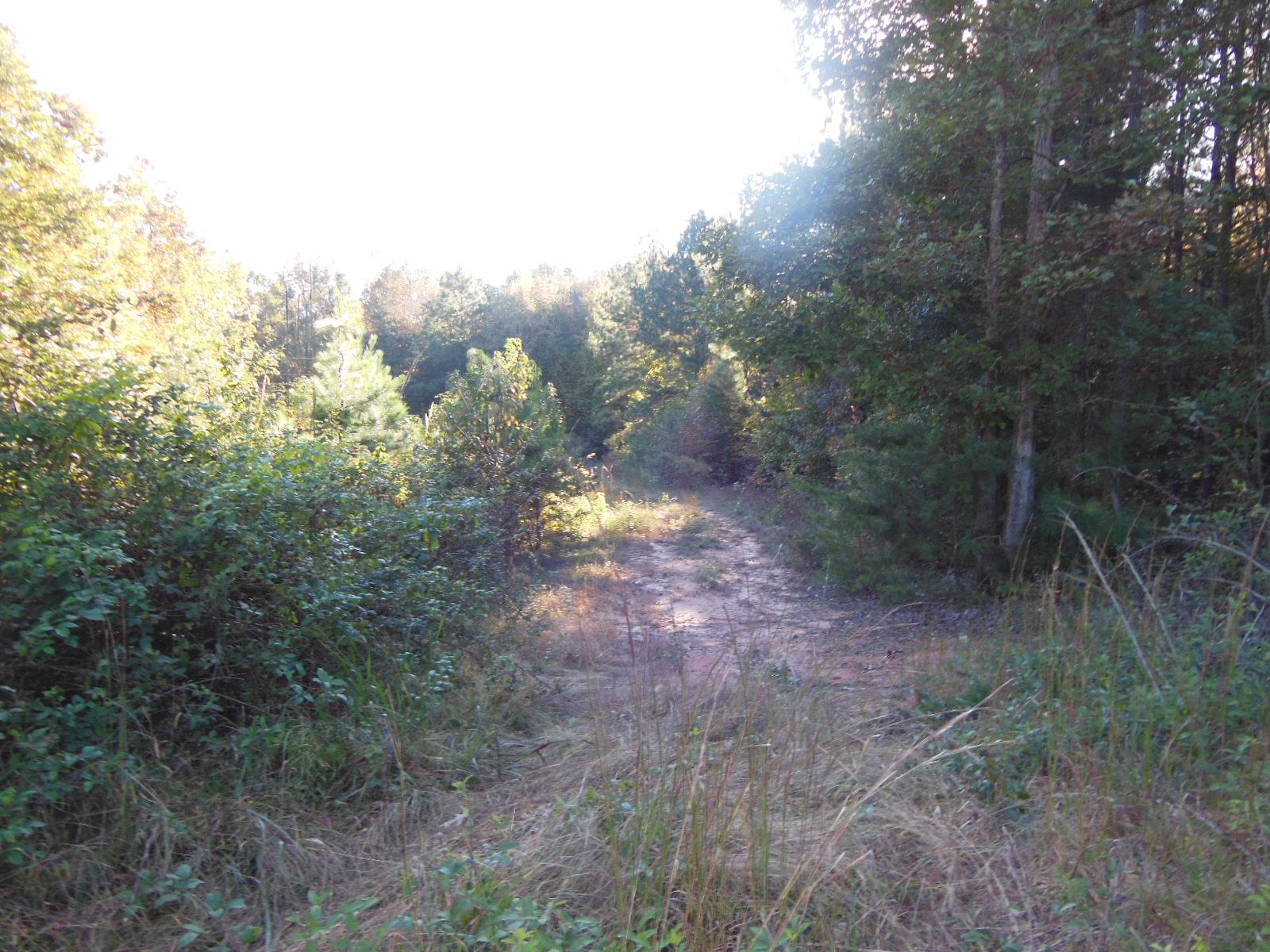 0 Highway 17 Bypass Shady Creek Rd, Toccoa, GA 30577 photo 2