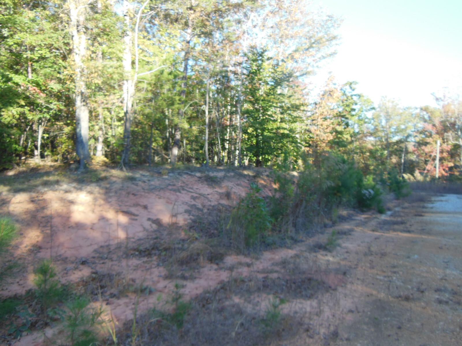 0 Highway 17 Bypass Shady Creek Rd, Toccoa, GA 30577 photo 19