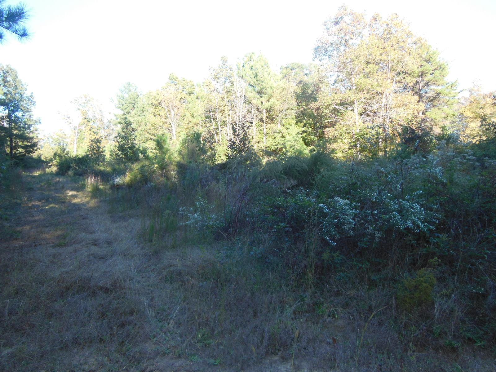 0 Highway 17 Bypass Shady Creek Rd, Toccoa, GA 30577 photo 4