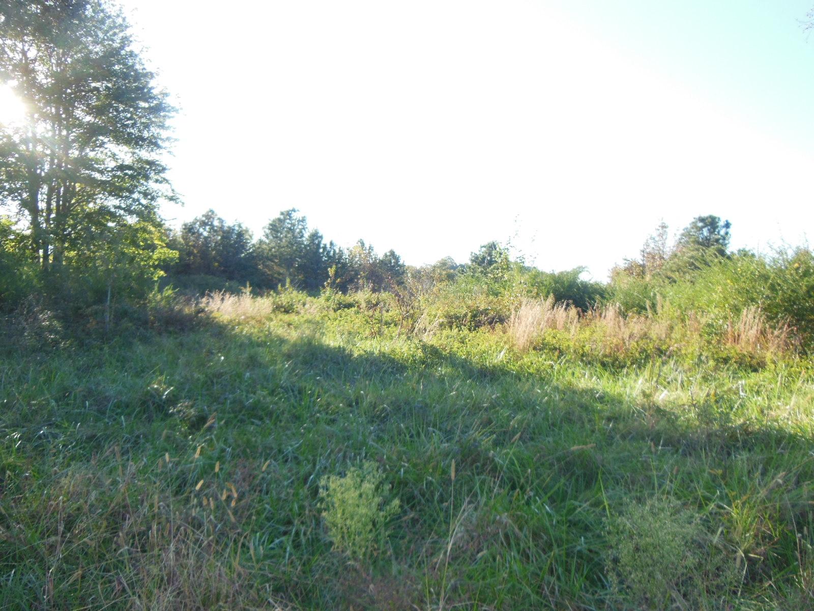 0 Highway 17 Bypass Shady Creek Rd, Toccoa, GA 30577 photo 13