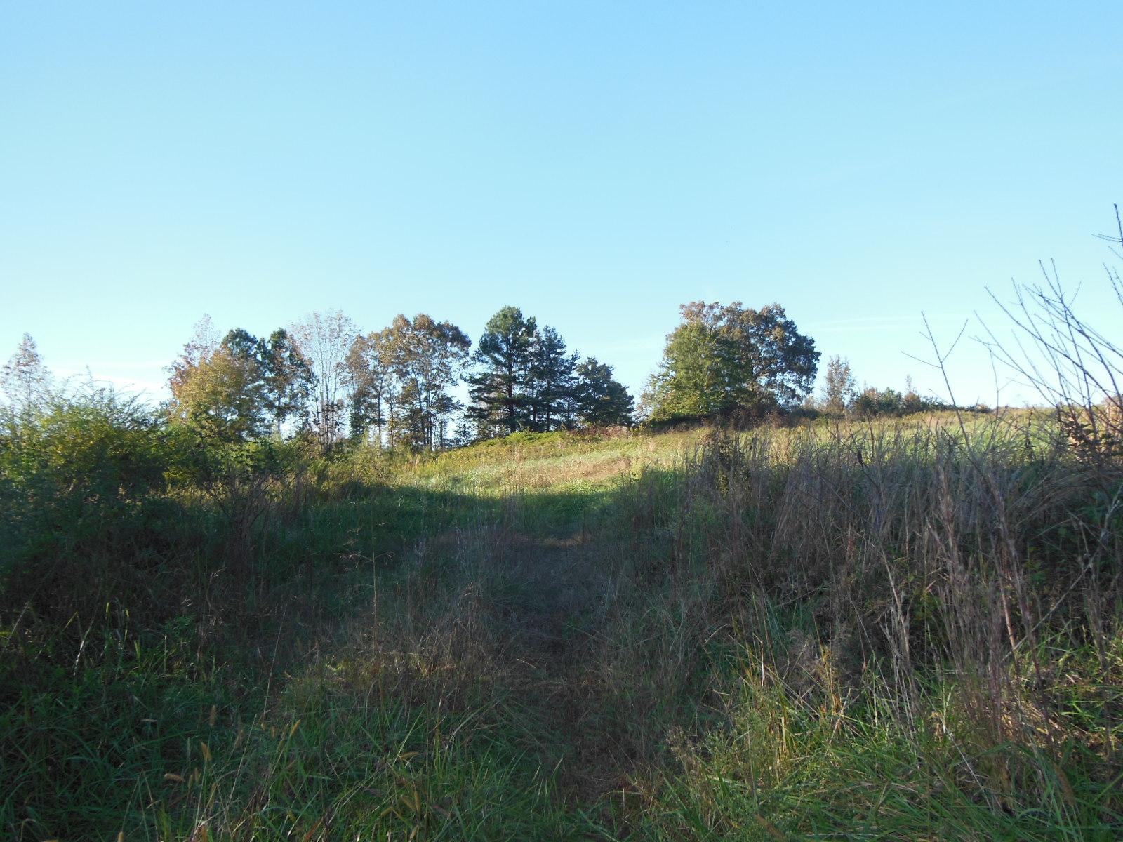 0 Highway 17 Bypass Shady Creek Rd, Toccoa, GA 30577 photo 5