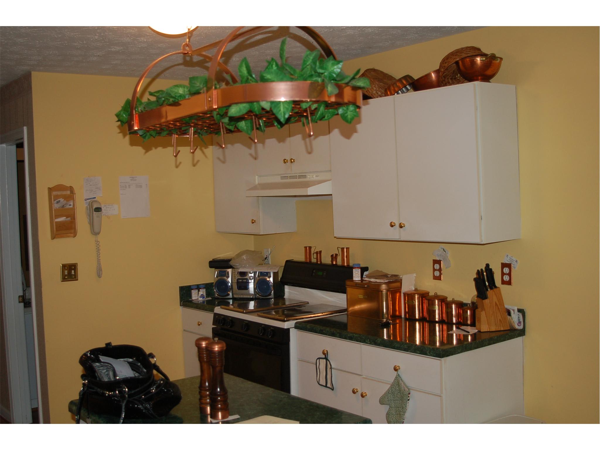 1309 Pebble Beach Ln, Hampton, GA 30228 photo 13