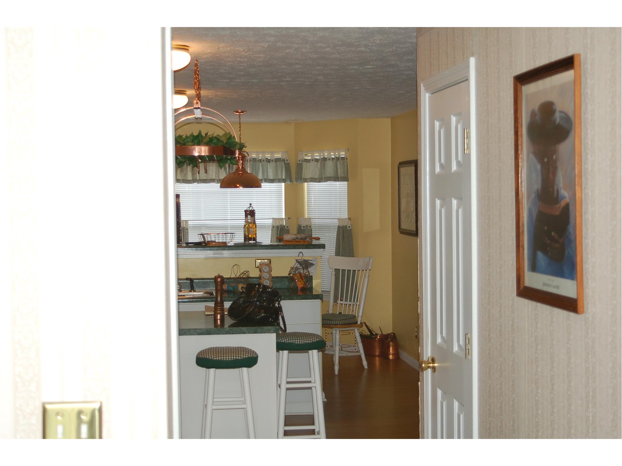 1309 Pebble Beach Ln, Hampton, GA 30228 photo 5