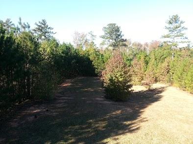 110 Tara Way, Covington, GA 30016 photo 14