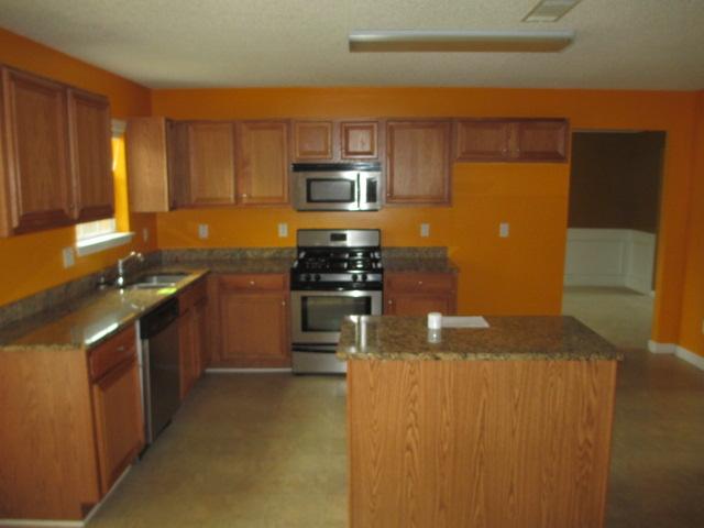 506 Vaughan Dr, Hampton, GA 30228 photo 2