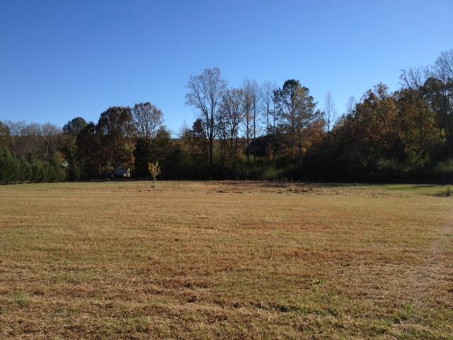 370 Wray Mine Rd, Buchanan, GA 30113 photo 14