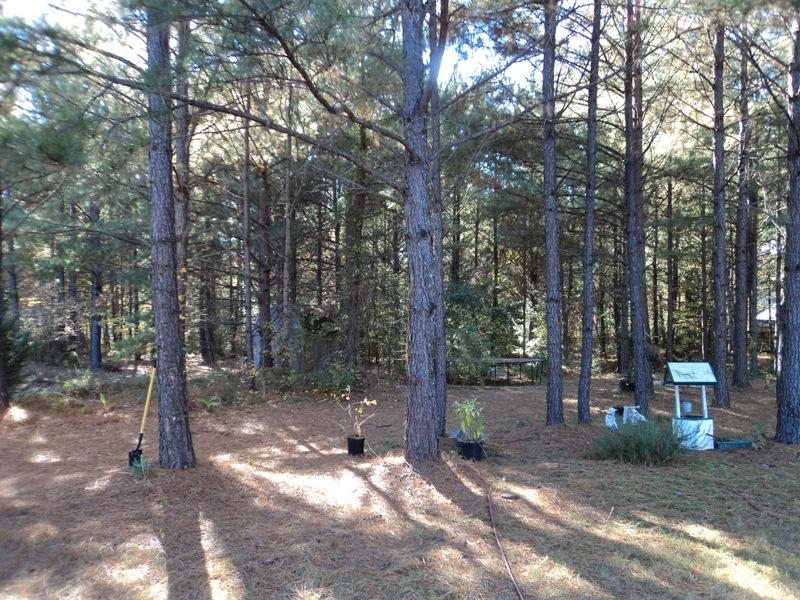 95 Wynfield Keep, Covington, GA 30016 photo 20