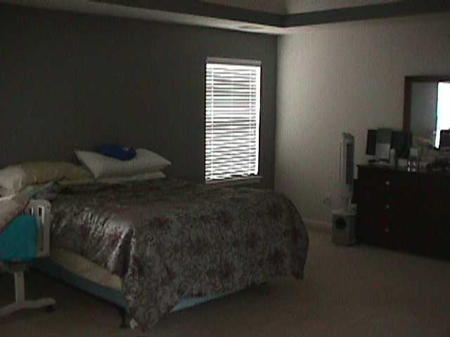 378 Thompson Ct, Hampton, GA 30228 photo 7