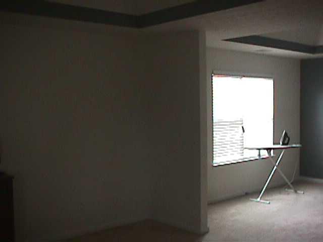 378 Thompson Ct, Hampton, GA 30228 photo 9