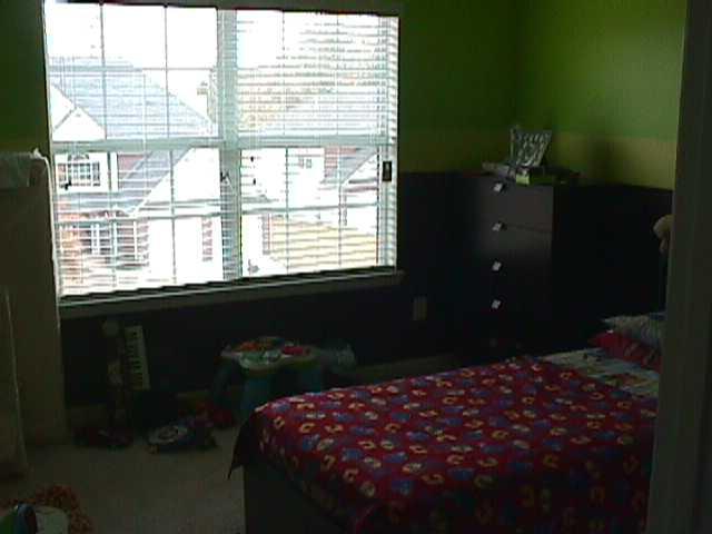 378 Thompson Ct, Hampton, GA 30228 photo 4