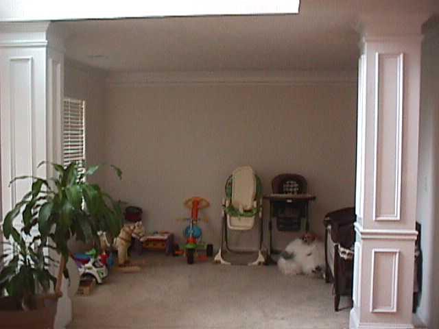 378 Thompson Ct, Hampton, GA 30228 photo 16