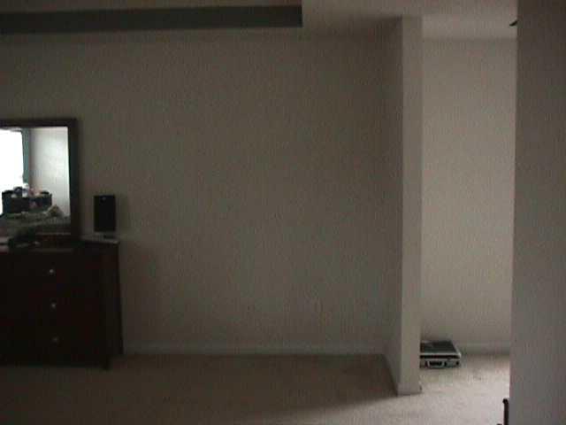 378 Thompson Ct, Hampton, GA 30228 photo 8