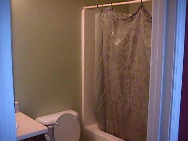378 Thompson Ct, Hampton, GA 30228 photo 3