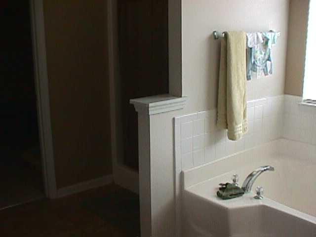 378 Thompson Ct, Hampton, GA 30228 photo 11