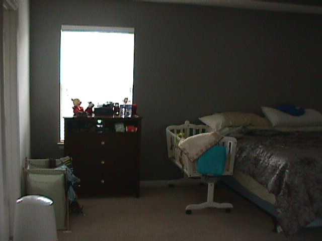 378 Thompson Ct, Hampton, GA 30228 photo 6