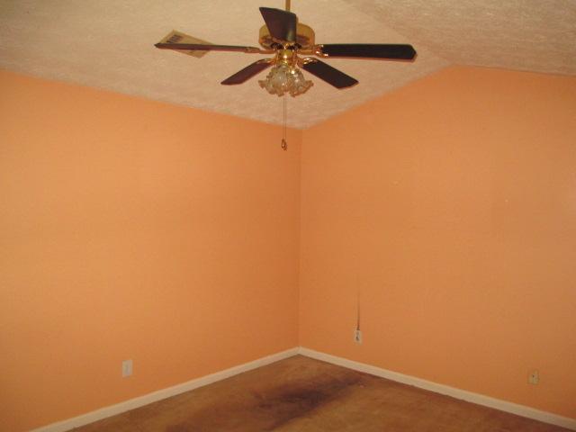 799 Steele Dr, Hampton, GA 30228 photo 5