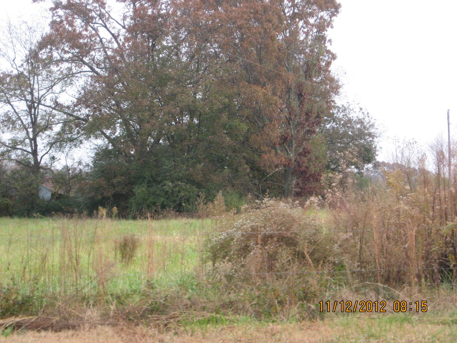 1300 Plainview Rd, Carnesville, GA 30521 photo 3