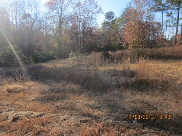 1598 Eaves Bridge Rd, Buchanan, GA 30113 photo 5