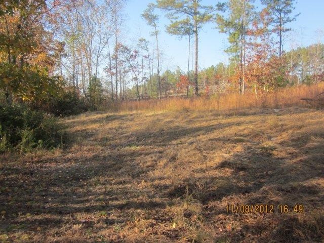 1598 Eaves Bridge Rd, Buchanan, GA 30113 photo 6