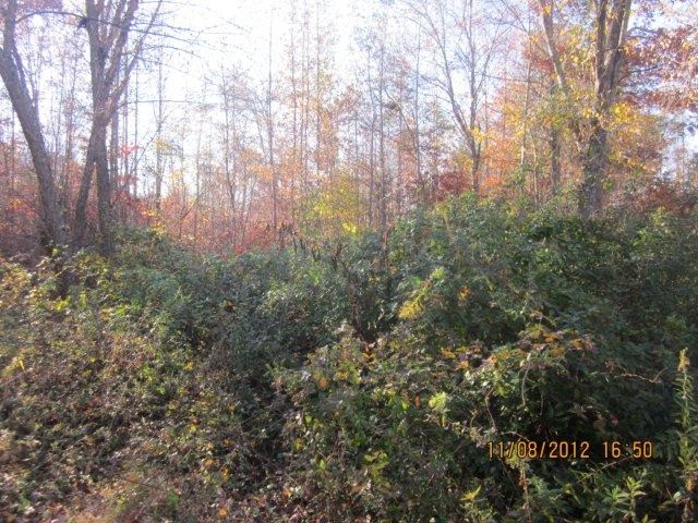 1598 Eaves Bridge Rd, Buchanan, GA 30113 photo 8