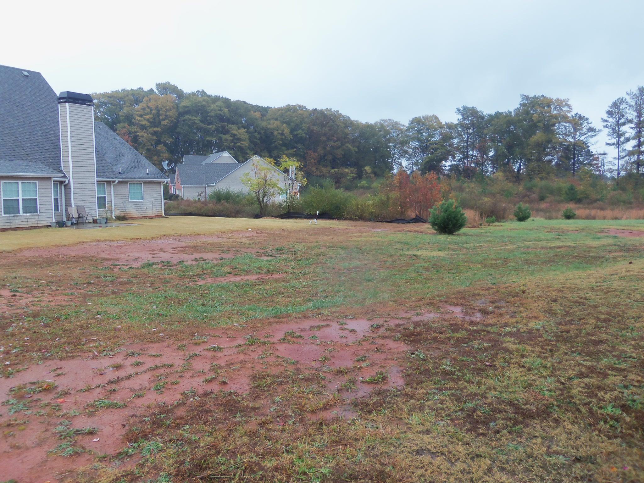 25 Bowen Way, Covington, GA 30016 photo 12