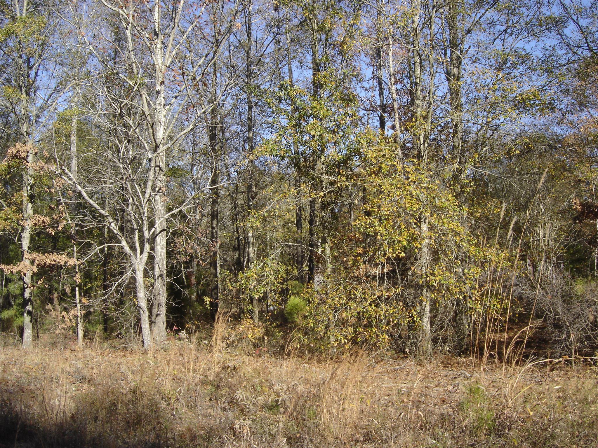 210 Harkness Rd, Jackson, GA 30233 photo 4