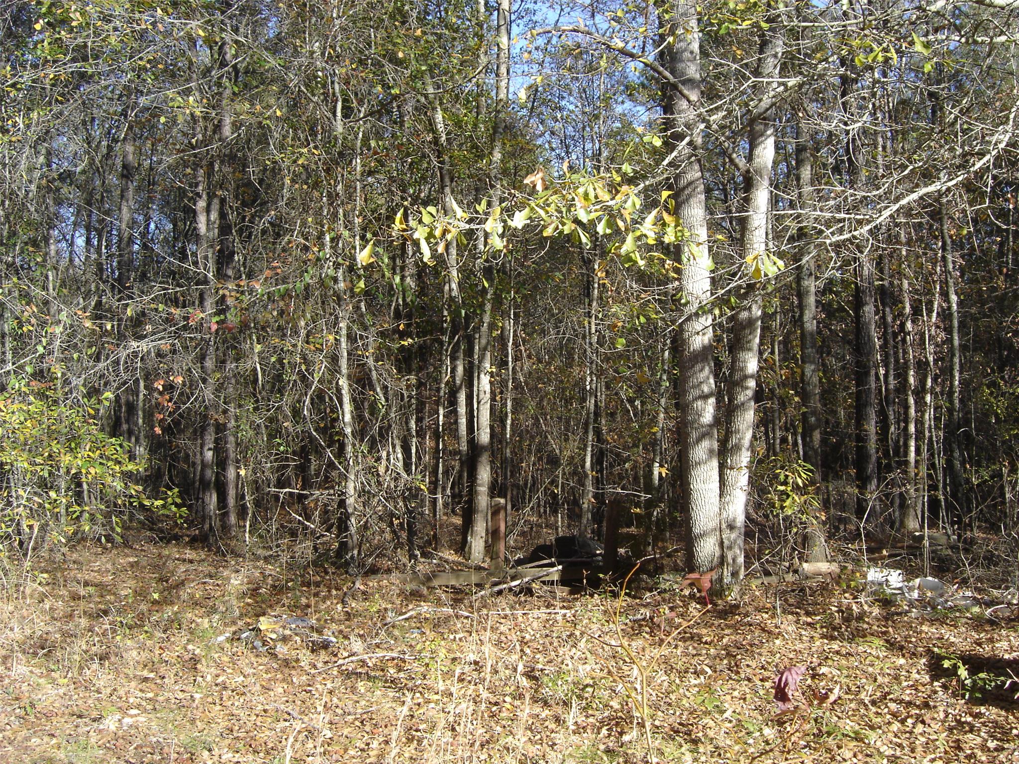 210 Harkness Rd, Jackson, GA 30233 photo 6