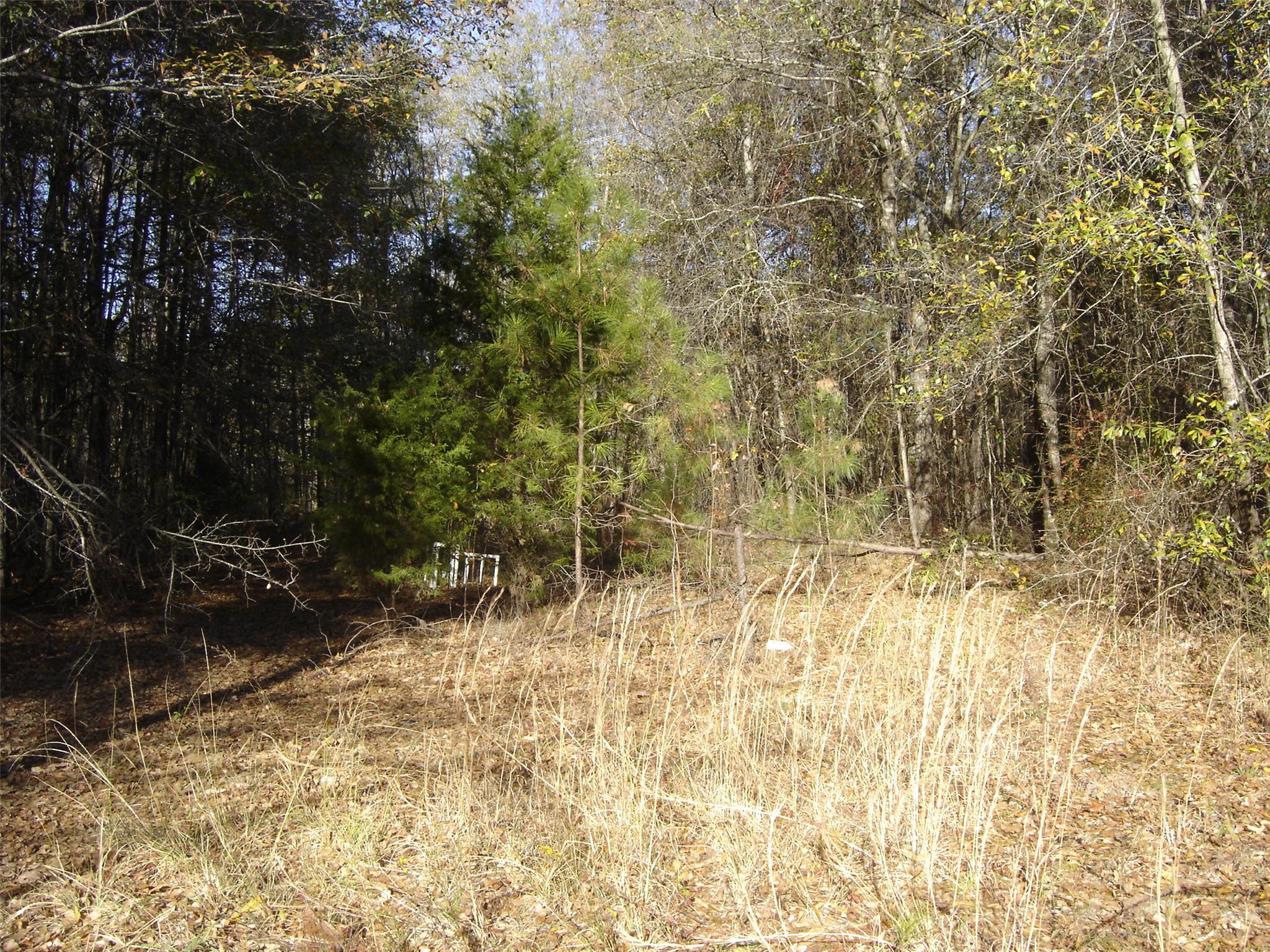 210 Harkness Rd, Jackson, GA 30233 photo 5
