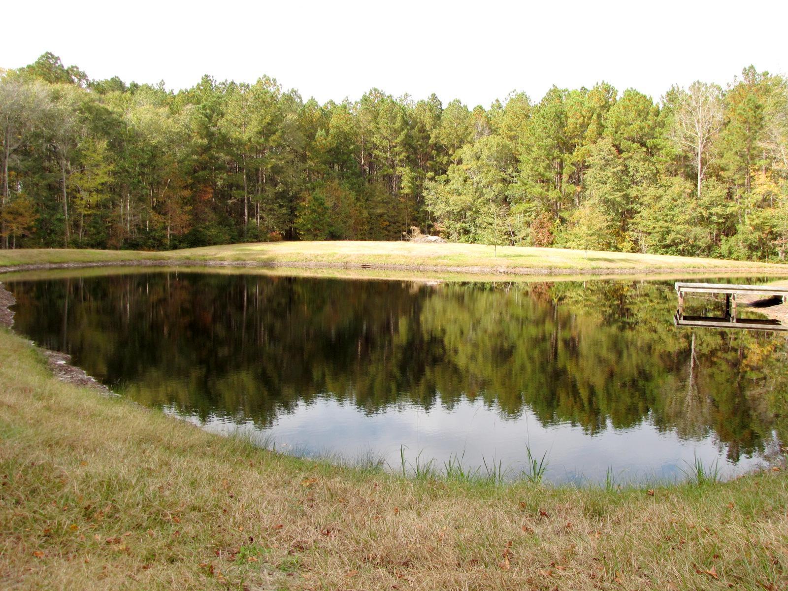 723 Beulah Ln, Brooklet, GA 30415 photo 23