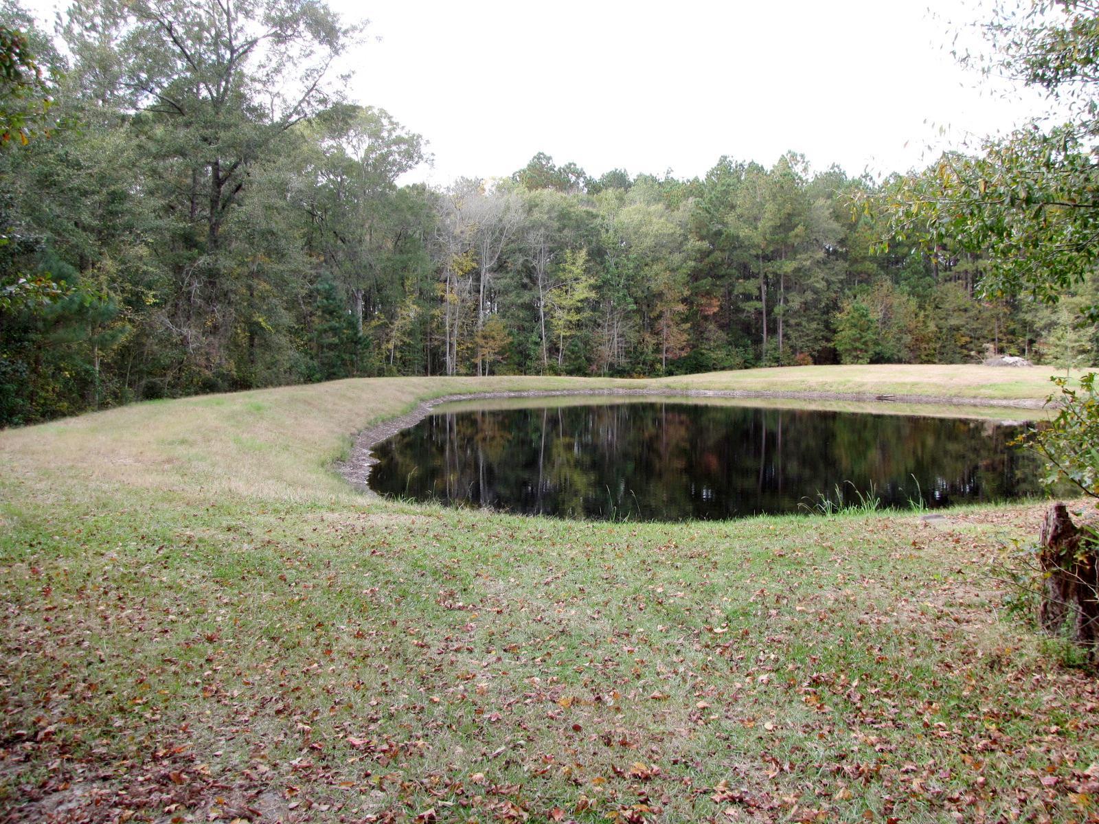723 Beulah Ln, Brooklet, GA 30415 photo 21