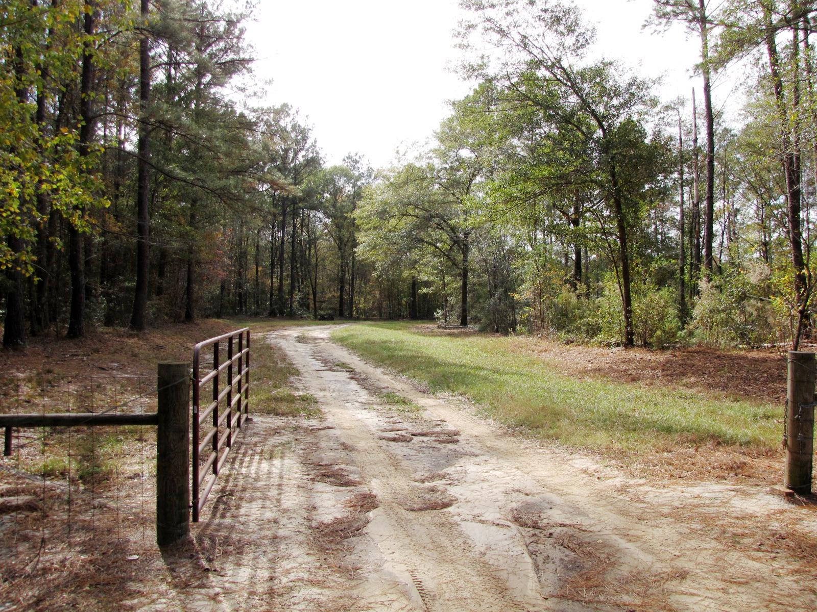 723 Beulah Ln, Brooklet, GA 30415 photo 4