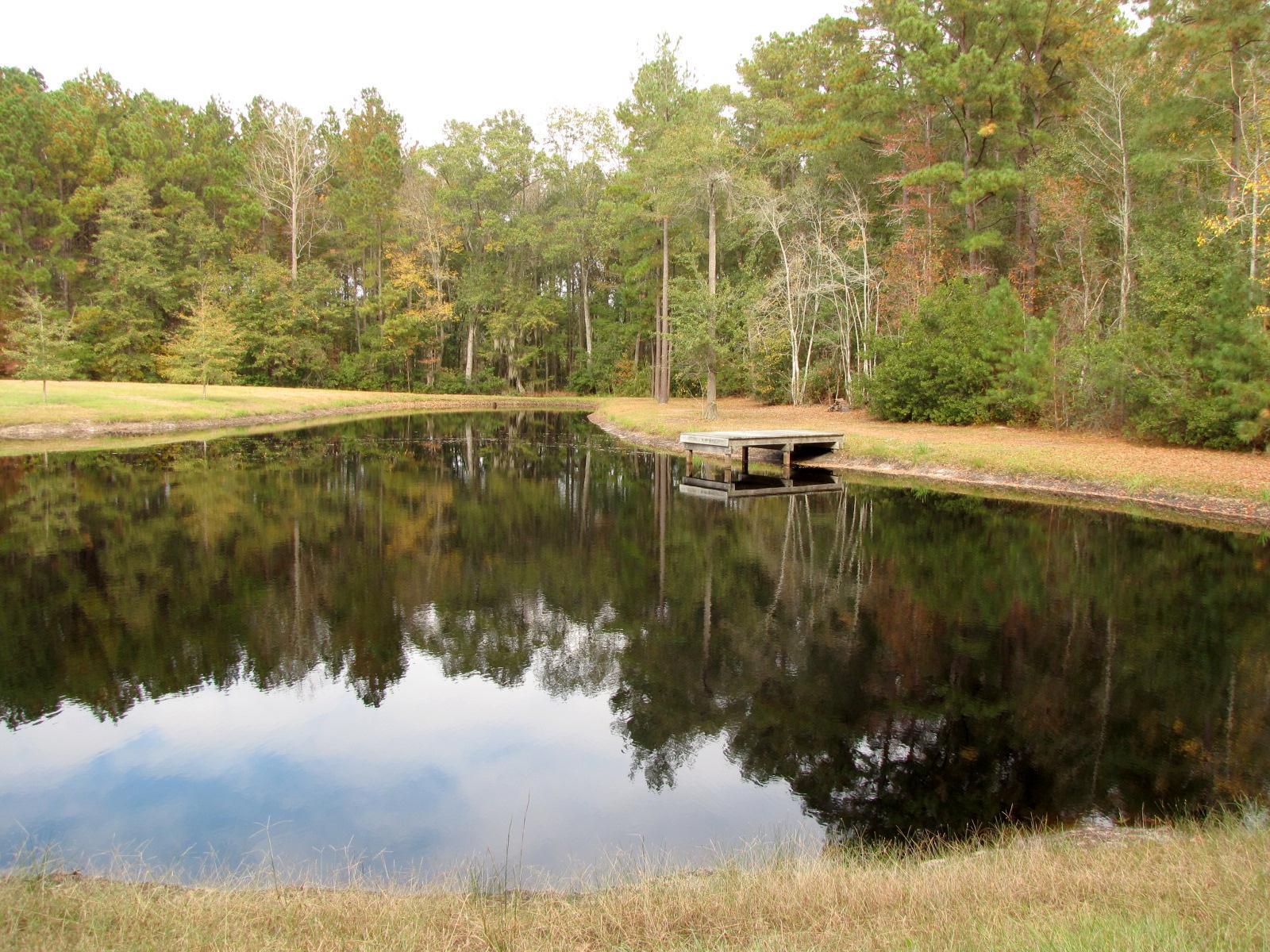 723 Beulah Ln, Brooklet, GA 30415 photo 1
