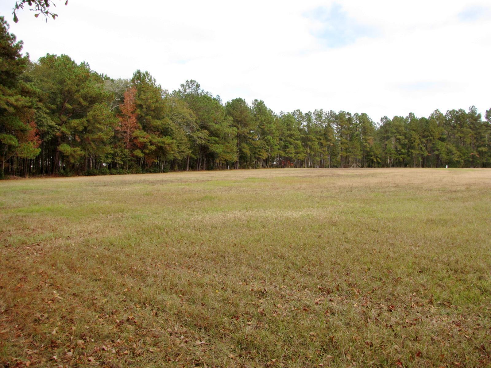 723 Beulah Ln, Brooklet, GA 30415 photo 20