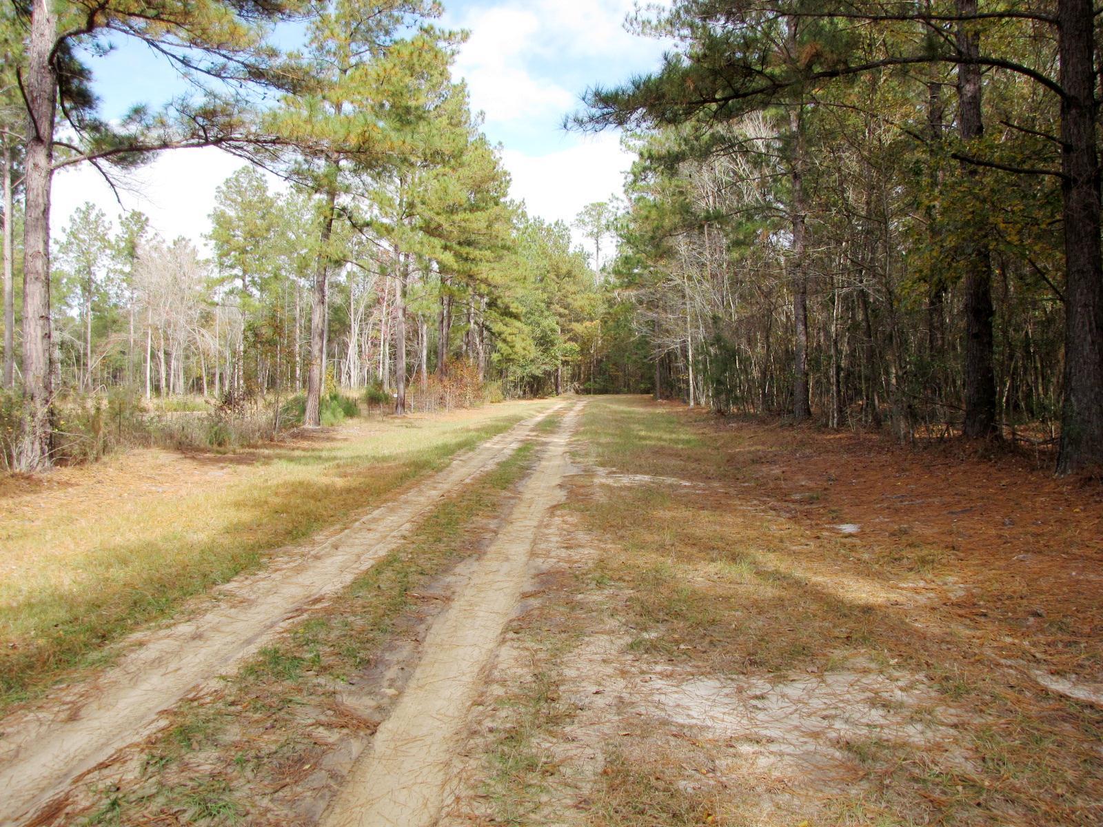 723 Beulah Ln, Brooklet, GA 30415 photo 3