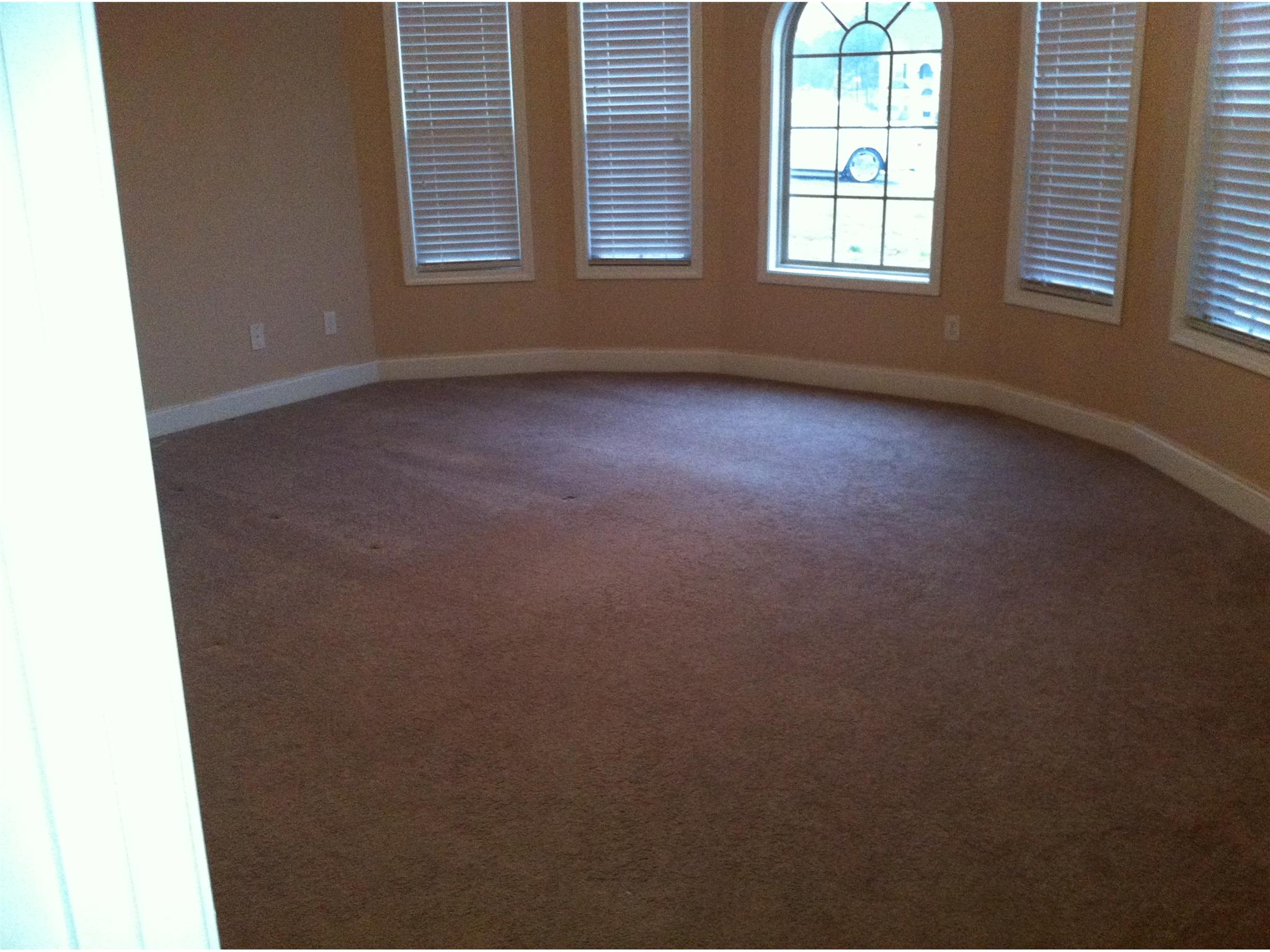 314 Old Arch Ln, Fairburn, GA 30213 photo 8