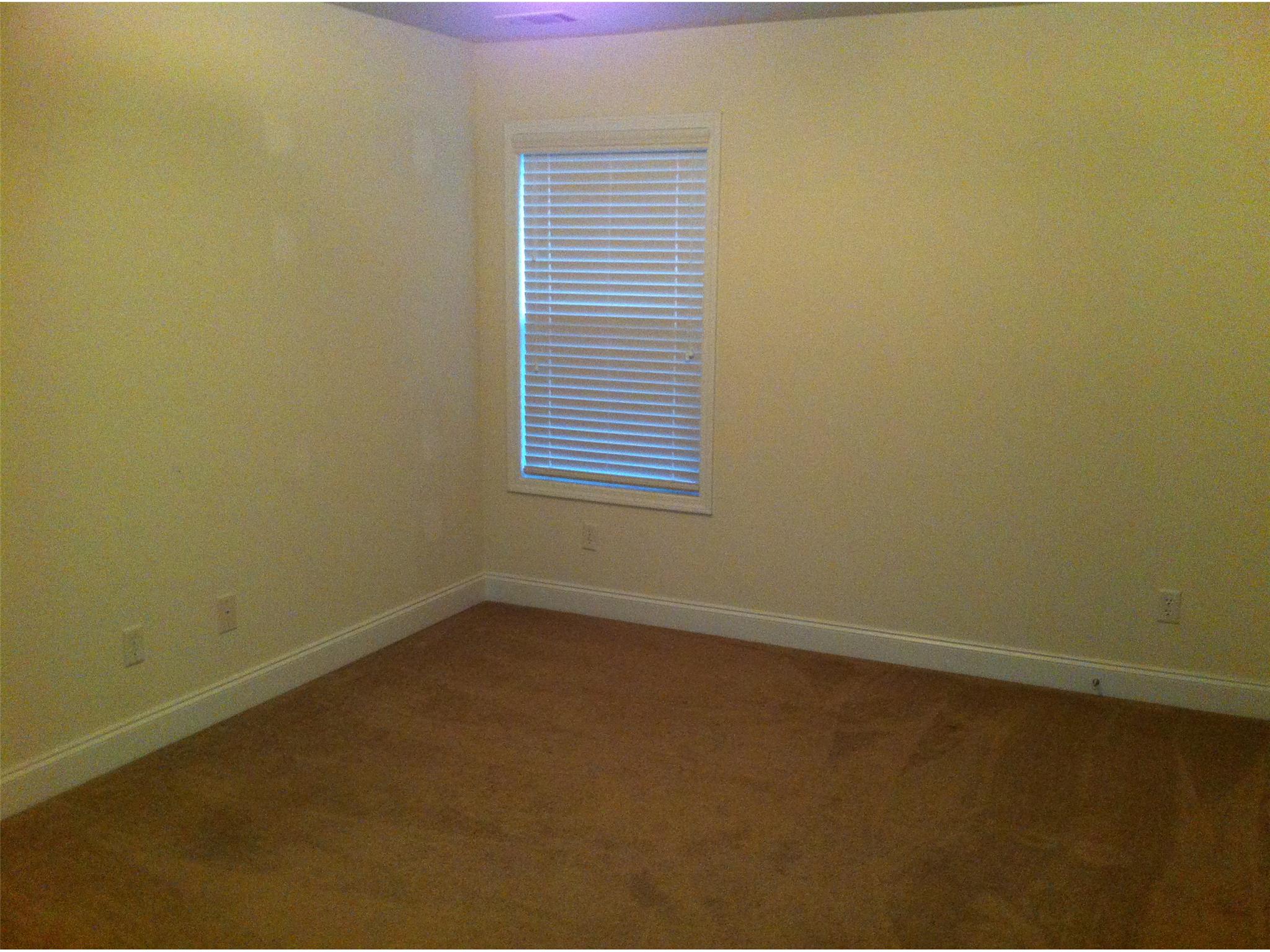314 Old Arch Ln, Fairburn, GA 30213 photo 16