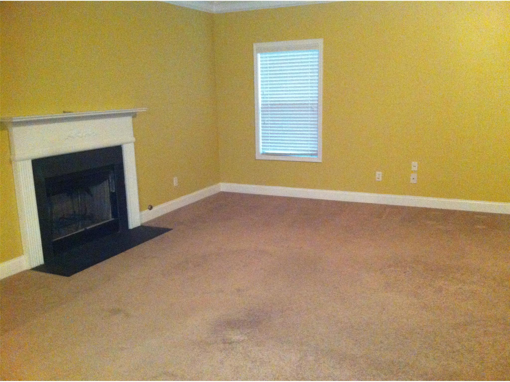 314 Old Arch Ln, Fairburn, GA 30213 photo 7