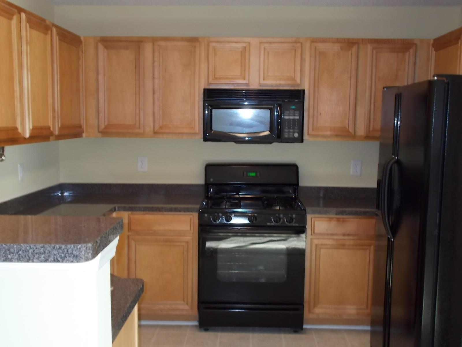1812 Dalton Way, Hampton, GA 30228 photo 8