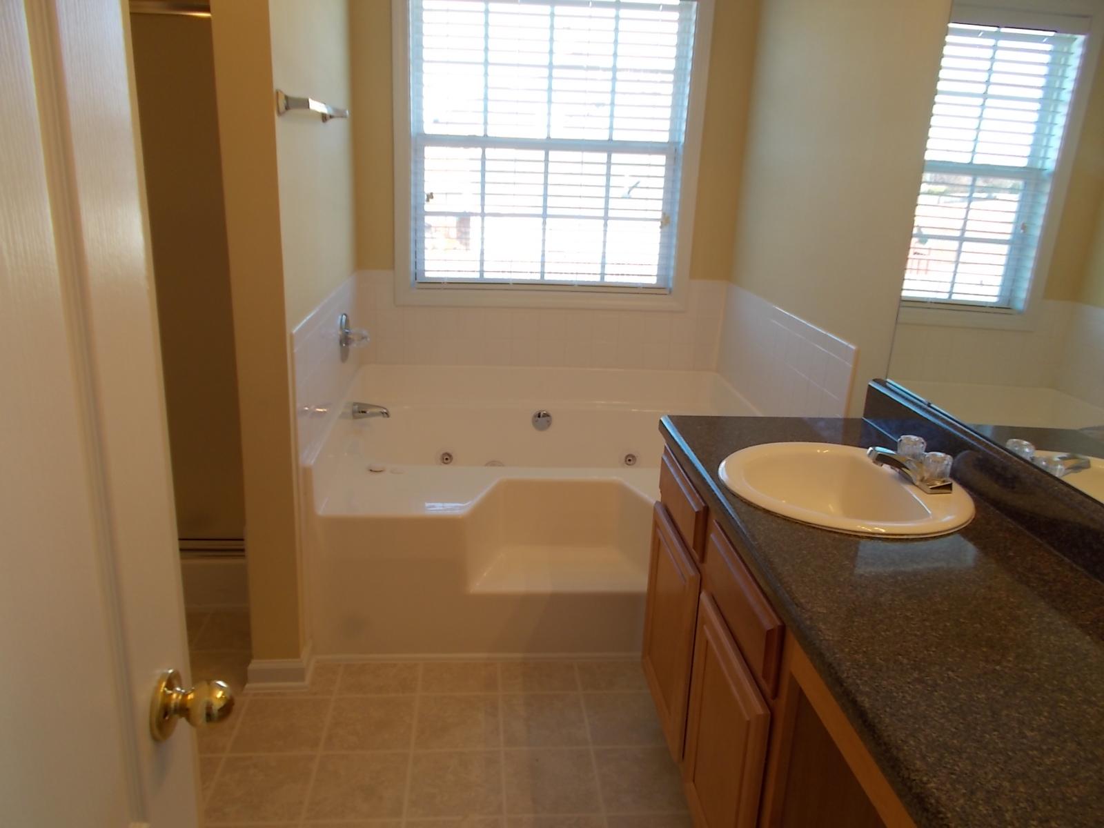 1812 Dalton Way, Hampton, GA 30228 photo 14